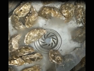 微信图片_20190614081741.gif
