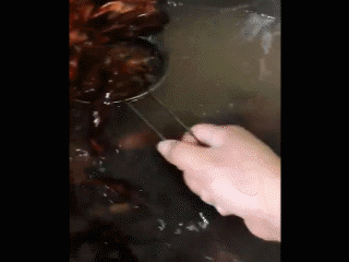 微信图片_20190615084501.gif