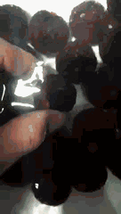 微信图片_20190617083105.gif