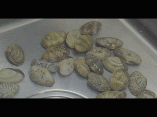 微信图片_20190620083940.gif