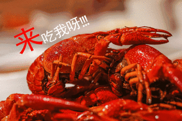 康世界智能水槽清洗小龙虾